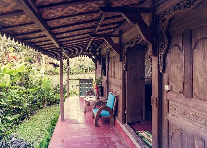 Dragonfly Village