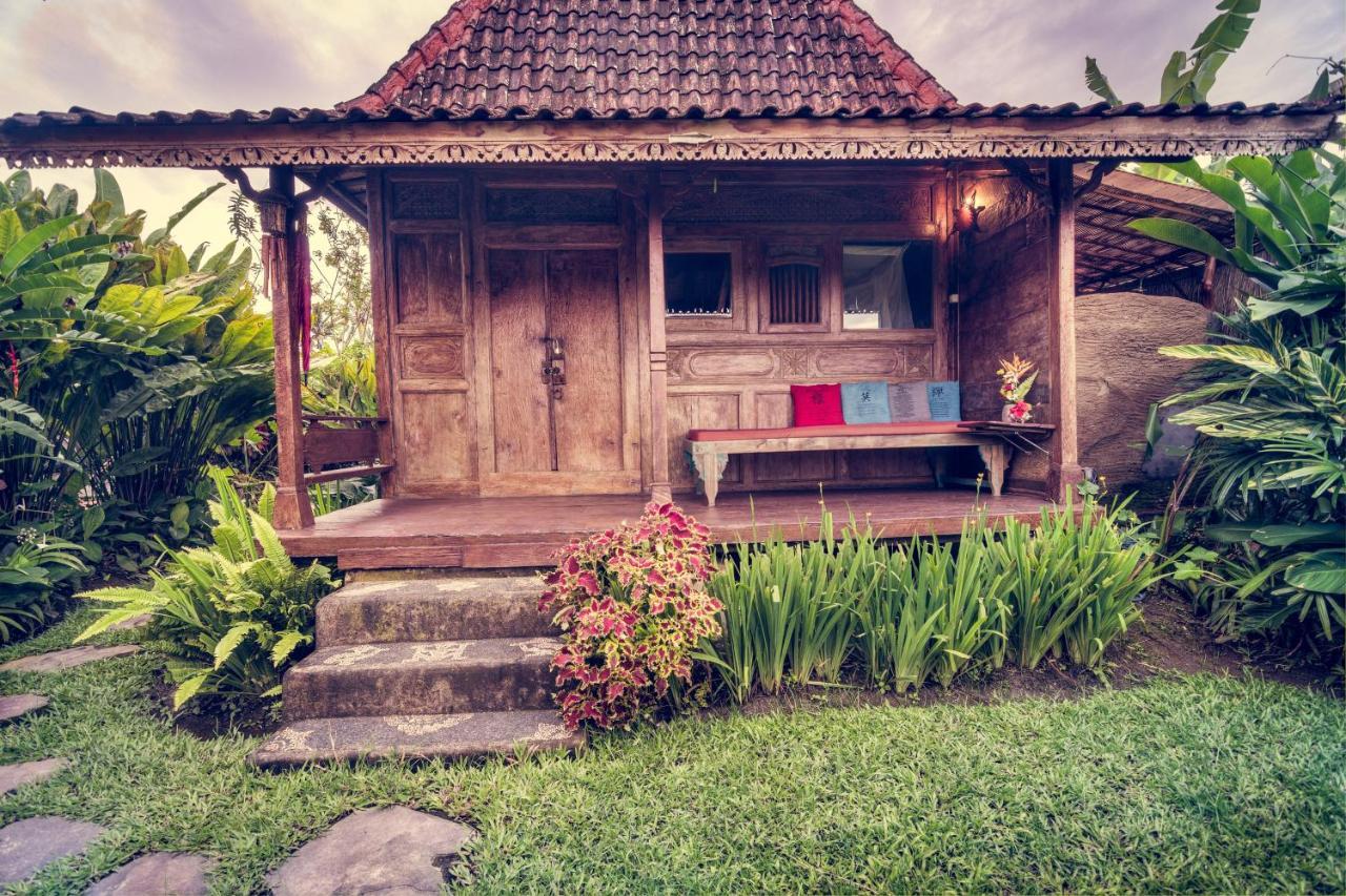 Dragonfly Village Taman liburan 3*