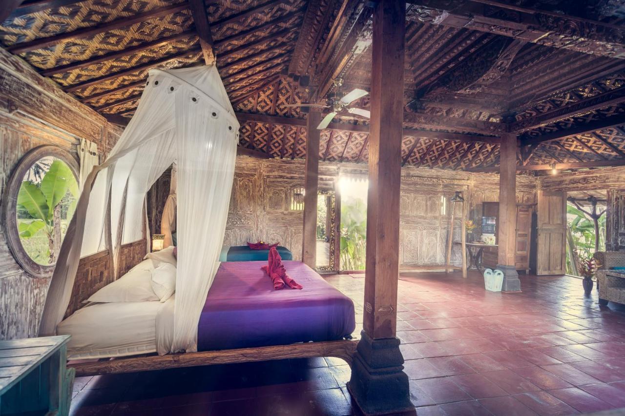 Taman liburan Dragonfly Village 3*