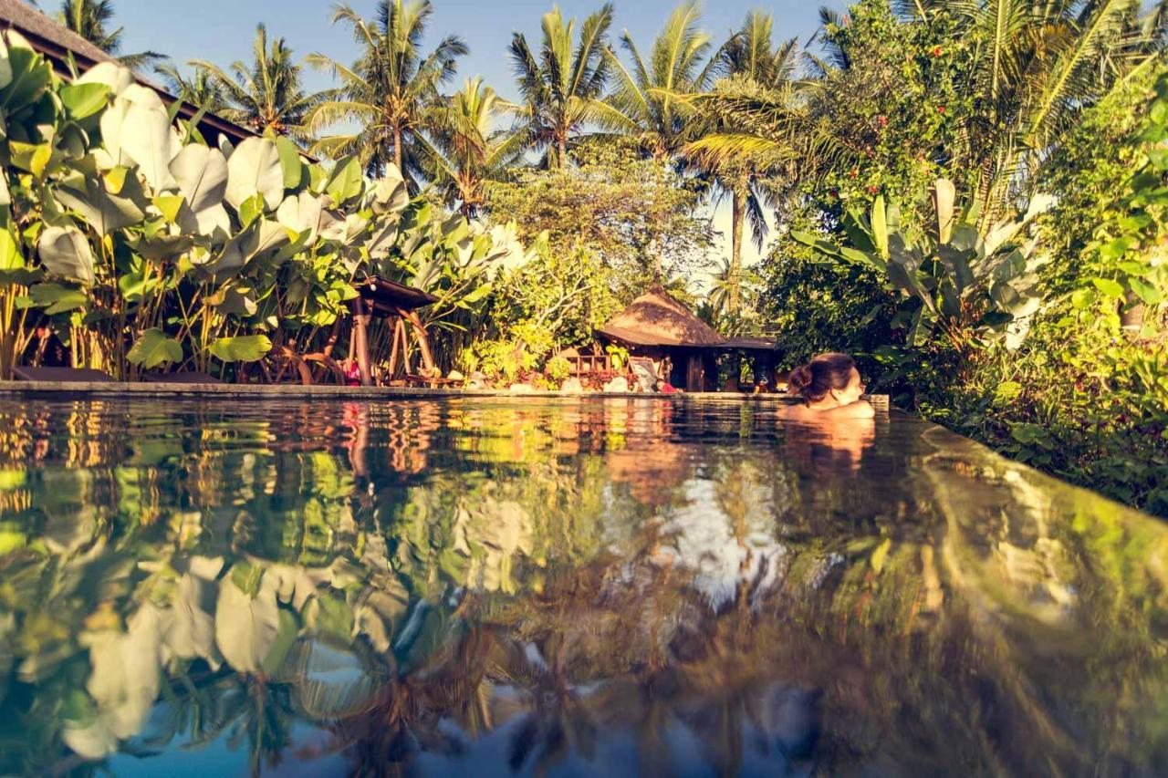 Village de vacances Dragonfly Village Ubud