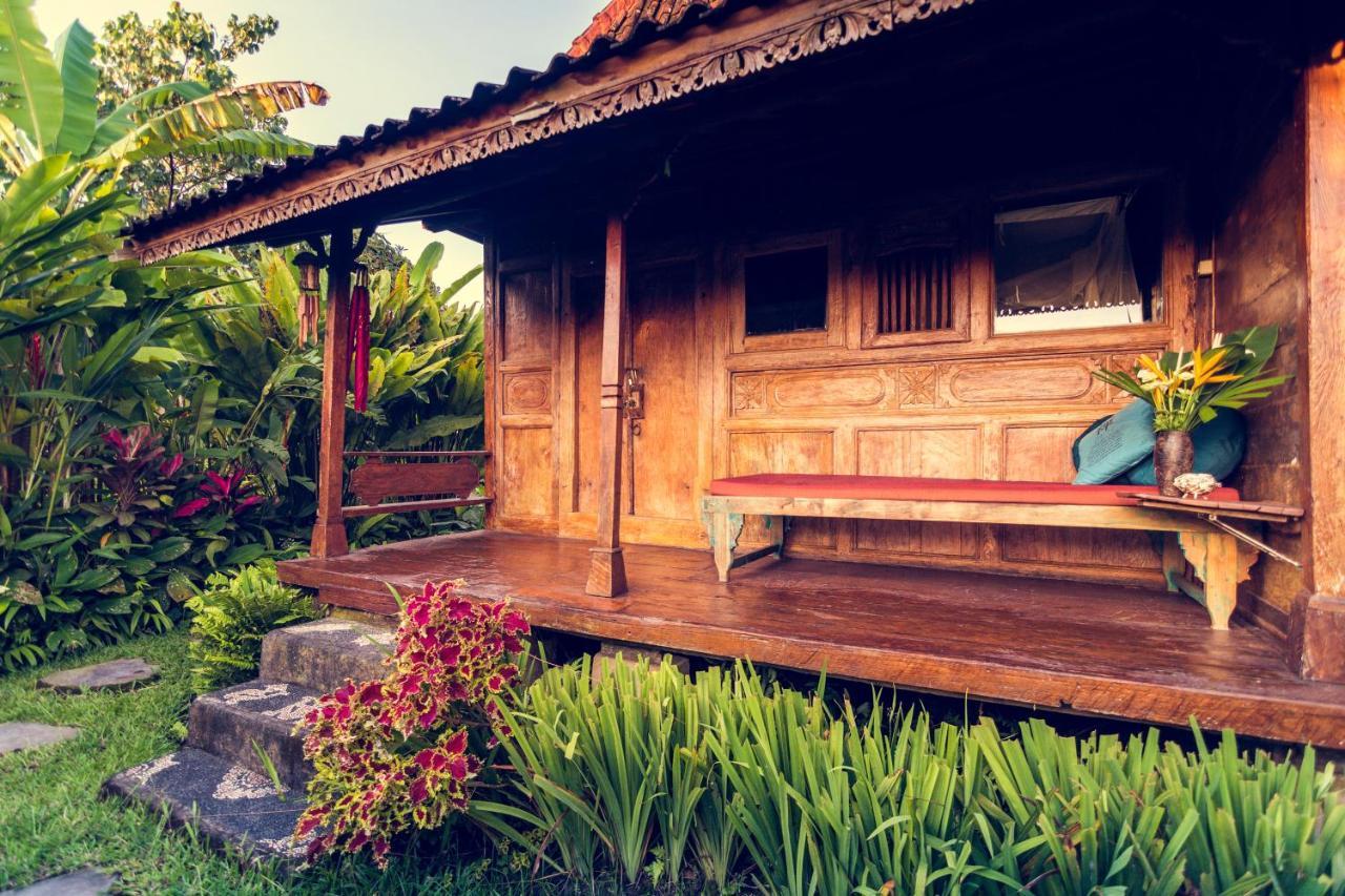 Dragonfly Village Village de vacances Ubud